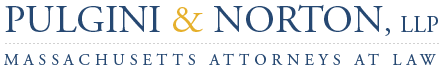 Logo of Pulgini & Norton, LLP